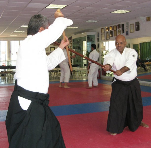 delfin jo tai jo